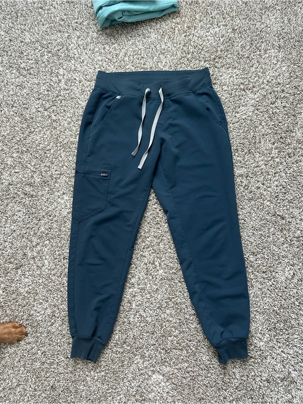 Dark Harbor figs joggers